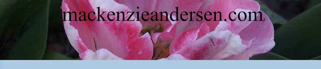 A Rose is a Rose is a Rose