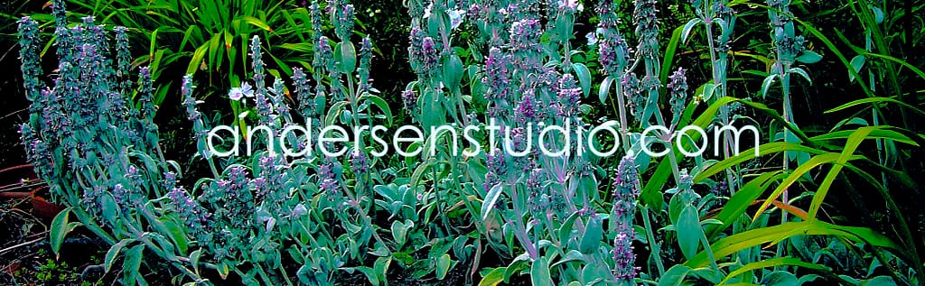 andersen studio gallery of art and design