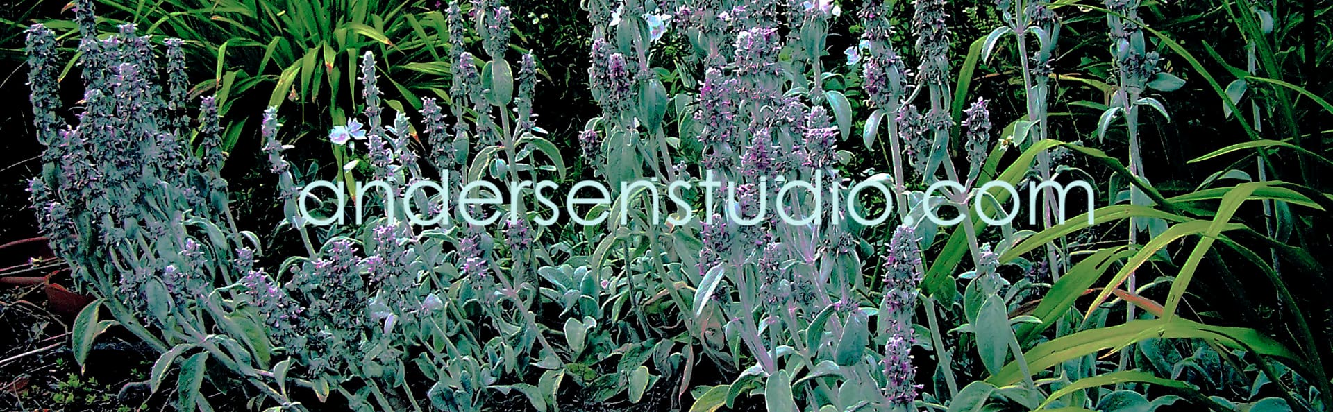 andersen studio gallery of art and design