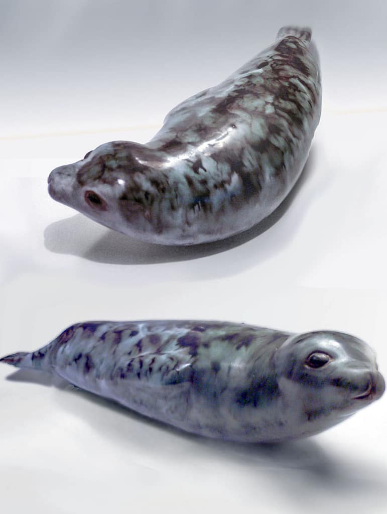 Antartic Seal by Andersen Design