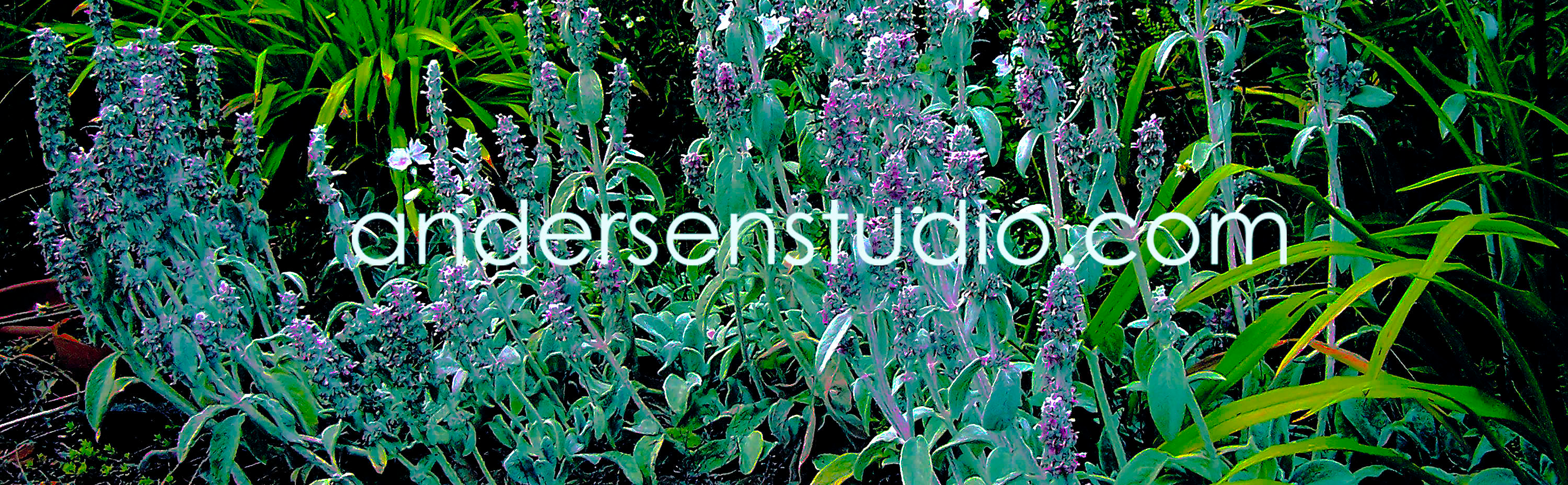 andersen studio gallery of art and design